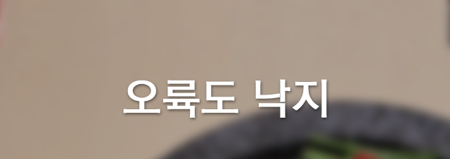 오륙도낙지